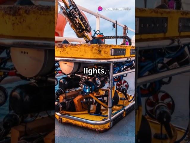 Exploring the Depths: How ROVs Work! #robot #rov #facts