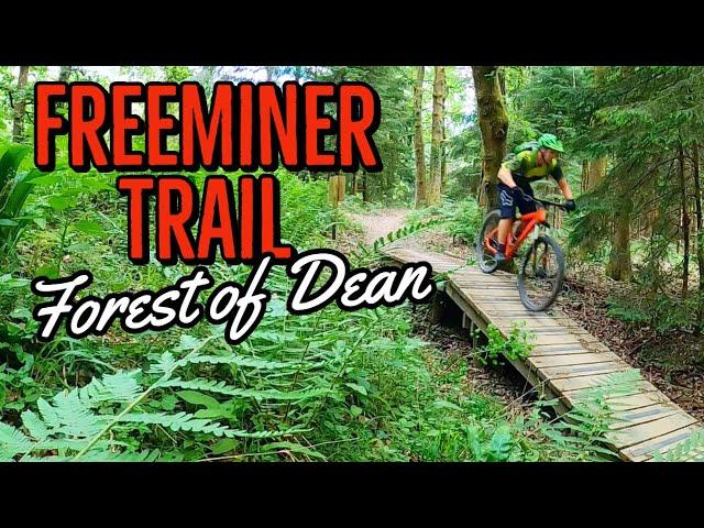 Freeminer Trail/ Cannop Cycle Centre/ Forest Of Dean - Voodoo Bizango 29er