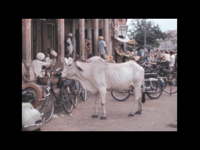 Jaipur 1976 archive footage