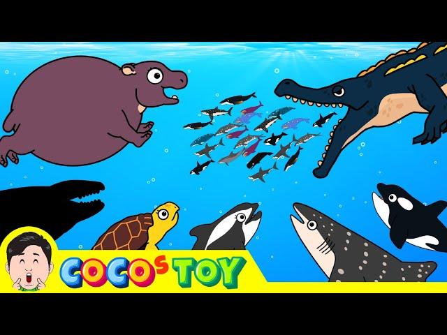 60minㅣCoCosToy's well-made stories best collection 3ㅣwhales & sharks for kidsㅣCoCosToy