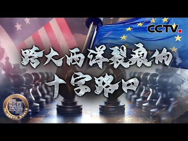 跨大西洋裂痕的十字路口 20250301 | CCTV中文《深度国际》