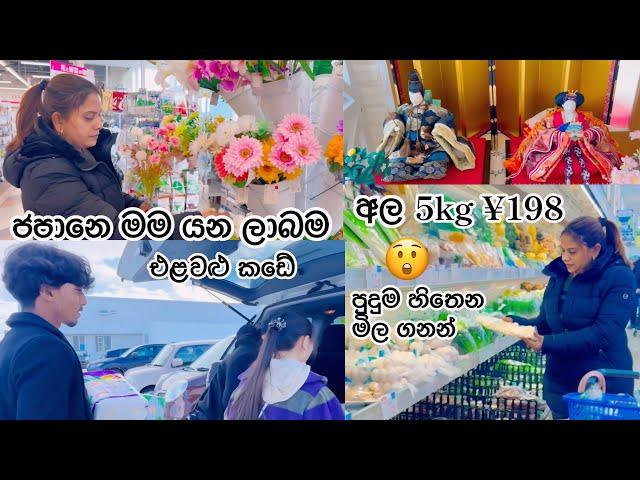 හිනා බොනික්කන් | Life in japan 