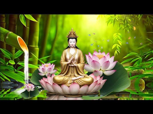 Nhạc Thiền Phật Giáo Tâm An - An Lành Trong Tâm Trí - Tịnh Tâm An Yên | 58