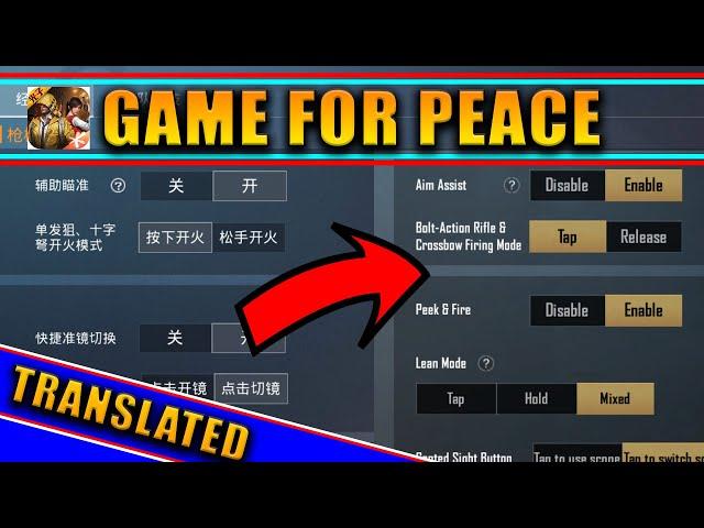 Game for Peace - Basic settings translated to English