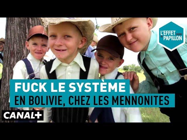 Fuck le système : En Bolivie, chez les Mennonites - L’Effet Papillon