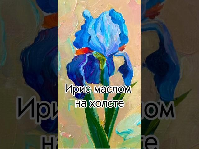 Живопись. Цветы. Ирис маслом на холсте. Быстрый этюд. #живопись #живописьмаслом #холст  #рисунок