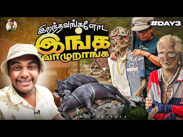 Indonesia வந்ததே இத பாக்கதான் | Ma'nane Ritual | Tamil Trekker