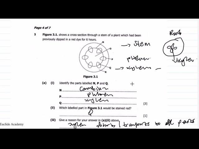 Biology 2016 Past Paper Revision.