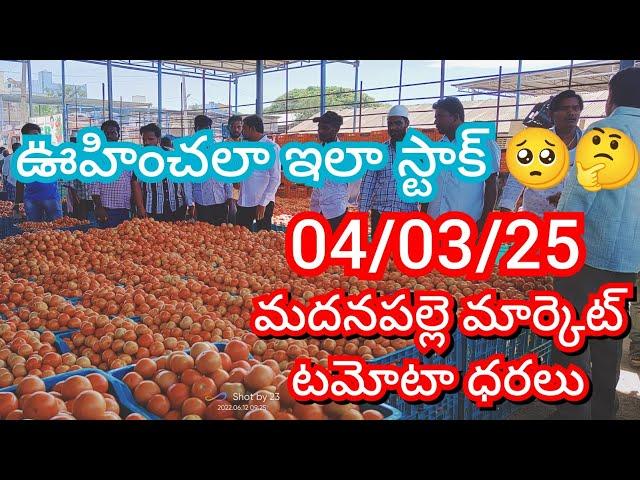 04-03-25 Madanapalle Tomato Market price Today || Today Tomato Market Rate in Madanapalle #today