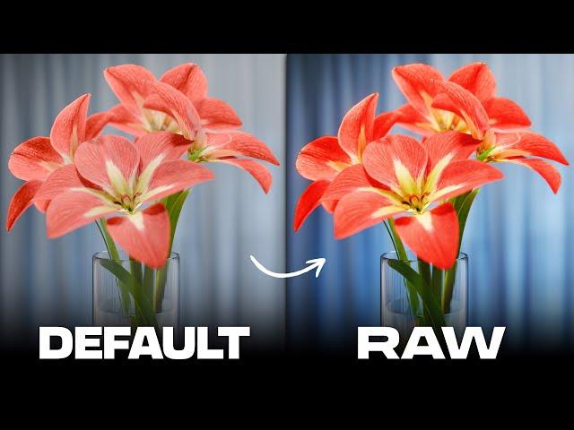 The Secret to Rendering Vibrant Colors with AgX in Blender is the Raw Workflow