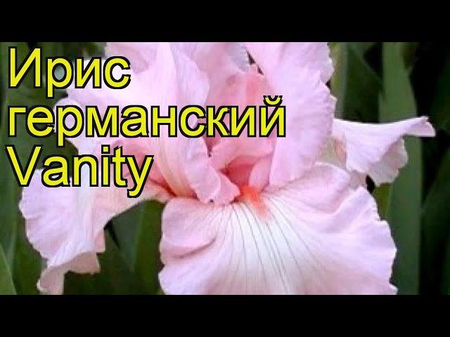 Ирис германский Суета. Краткий обзор, описание характеристик iris germanica Vanity