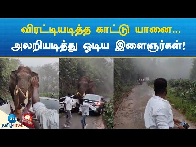 Munnar | Padayappa | Elephant | விரட்டியடித்த காட்டு யானை... அலறியடித்து ஓடிய இளைஞர்கள்!