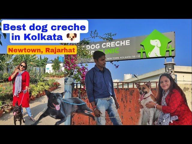 BEST DOG CRECHE IN KOLKATA | HONEST REVIEW OF NEWTOWN  RAJARHAT DOG CRECHE 