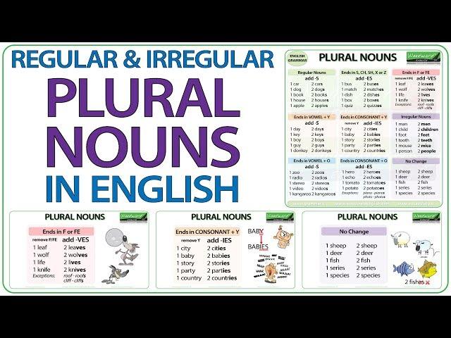 Plural Nouns in English - Regular & Irregular Plurals