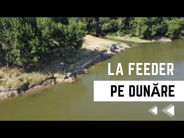 Ce locuri cautam cand Dunarea scade puternic? Pescuit la feeder pe Dunare!