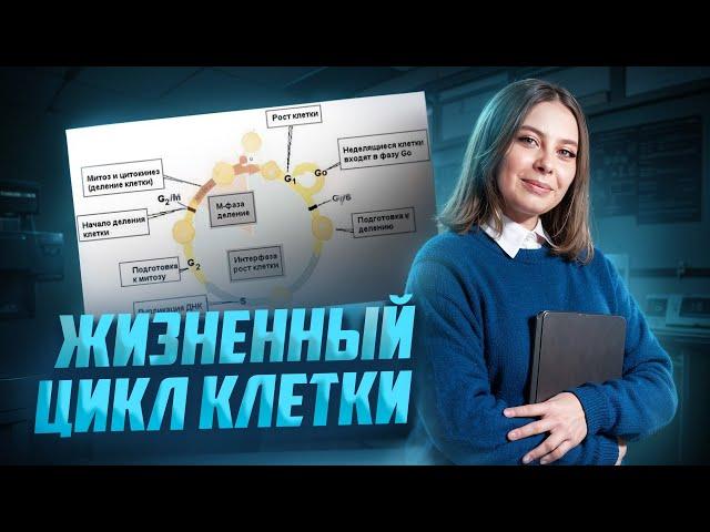 Жизненный цикл клетки I Биология ЕГЭ для 10 классов I Умскул | Биология ЕГЭ для 10 класса | Умскул