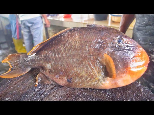 FIRST TIME CUTTING STARRY TRIGGERFISH || AMAZING FISH CLEANING & CHOPPING LIVE IN FISH MARKET