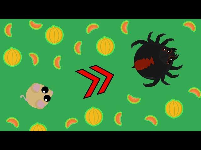 Mope.io - Desert Kangaroo Rat To Spider With Melons!!