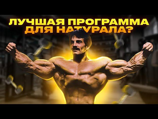 ПРОГРАММА ТРЕНИРОВОК МАЙКА МЕНТЦЕРА - ТОП? (НАУЧНЫЙ РАЗБОР)