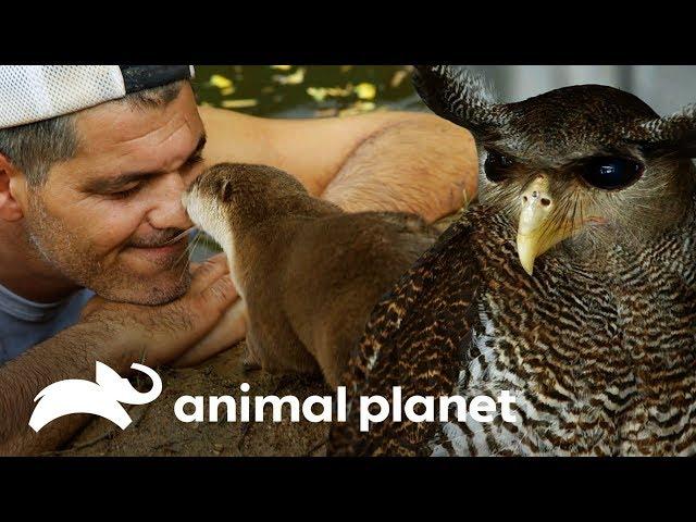 Animales que viven en la Fundación de Frank | Wild Frank: Al rescate | Animal Planet