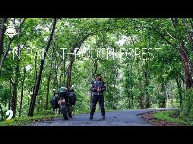 Around 30 trees falls in this forest every day!! - Anshi Forest, Kaiga - Monsoon Series - AnnyArun