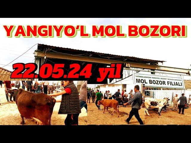 YANGIYOʻL MOL BOZORIDAGI BUGUNGI NARXLARI 