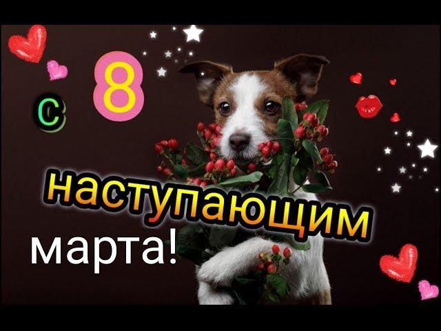 Прекрасное поздравление  с наступающим 8 марта! Всех благ!