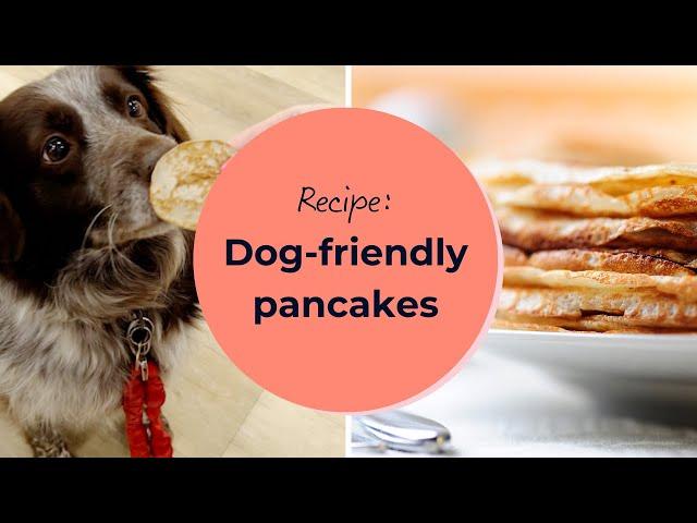 Easy dog-friendly pancakes