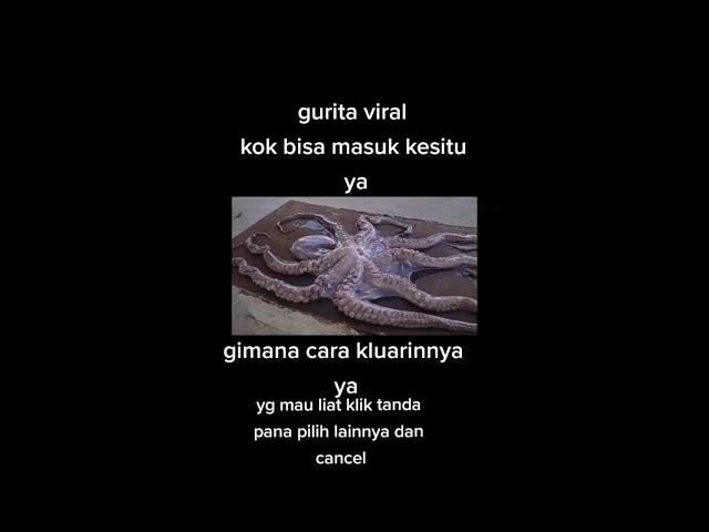 Gurita Viral Tik Tok #2 #gurita #sotongkurita #guritaviral 