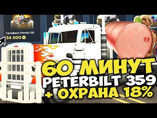 60 МИНУТ на PETERBILT 359 с ОХРАННИКОМ и БЕЗЛИМИТОМ ⏰ НОВЫЙ ИМБАЛАНС на ARIZONA RP в GTA SAMP