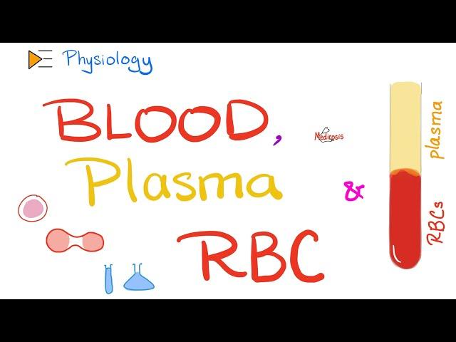 Blood, Plasma, and Red Blood Cells | Physiology of Blood and Immune System | Physiology Playlist