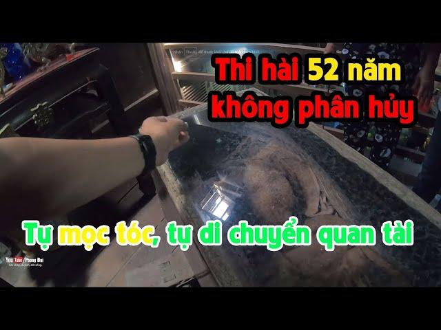 THI HÀI 52 năm TỰ DI CHUYỂN, TÓC TỰ MỌC DÀI | PHONG BỤI