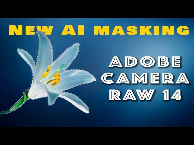 Ultimate Guide to Adobe Camera Raw ACR 14.  New Masking Option
