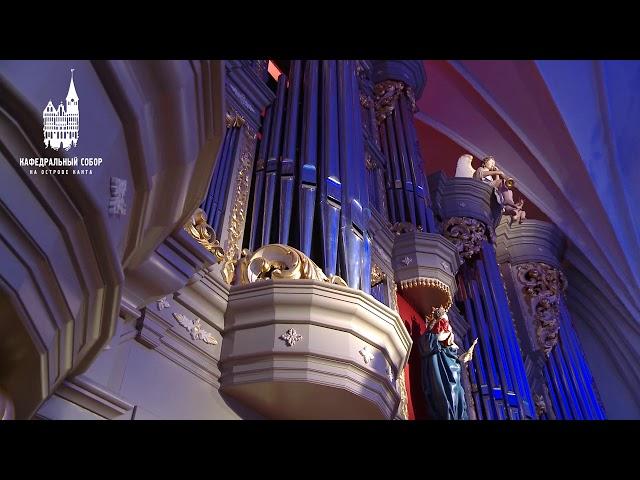 Martin Schmeding (organ). Kaliningrad Cathedral, Kant Island