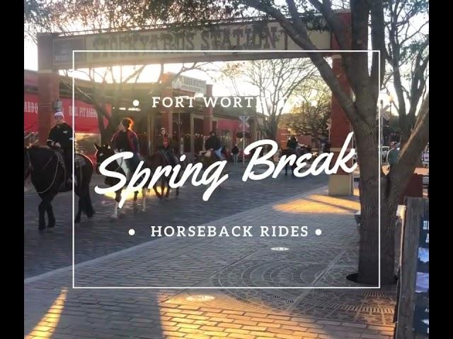 Spring Break 2023 Horseback Riding in Fort Worth, Texas