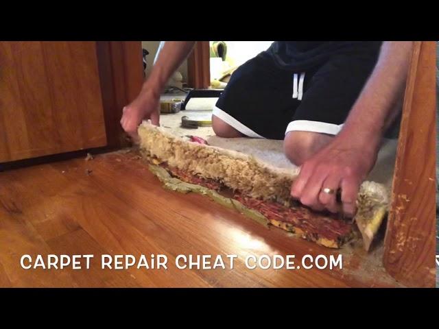 How To Transition Carpet To Hardwood EASY DIY TRICK