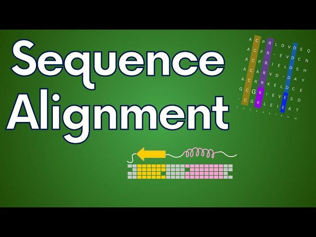 Protein Sequence Alignment in Theory and Practice