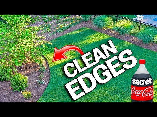 How To Have CLEAN EDGES in a LAWN - Trimmer SECRETS Revealed