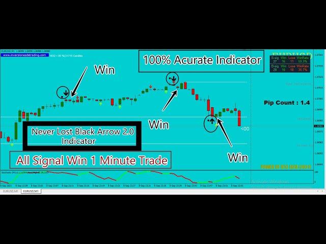 Never Lost Black Arrow 2 Indicator | 1 Minute Trade I 100% Non Reprint | 100% Accurate | Link Discri