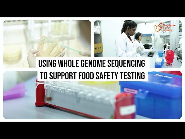 Using Whole Genome Sequencing To Support Food Safety Testing