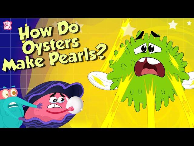 Pearl Formation | How Do Oysters Make Pearls? | The Dr Binocs Show | Peekaboo Kidz