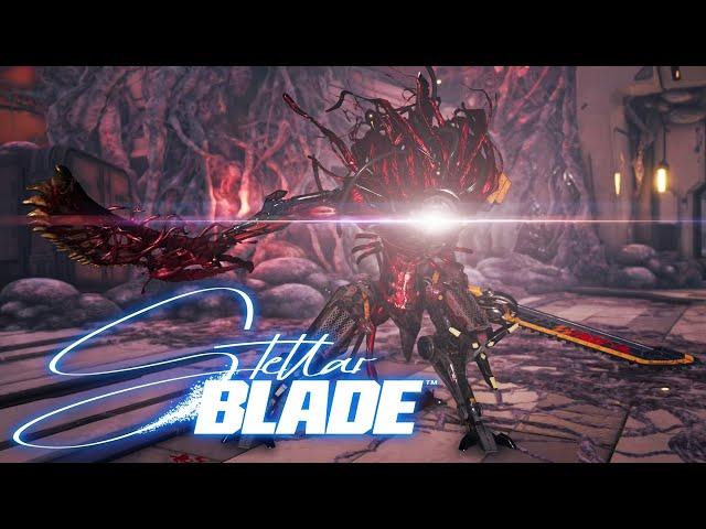 Fahrschein bitte: Das Duell mit Belial! - Stellar Blade #35