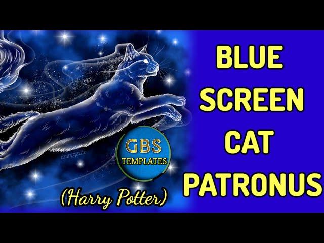 Blue Screen Harry Potter Cat Patronus