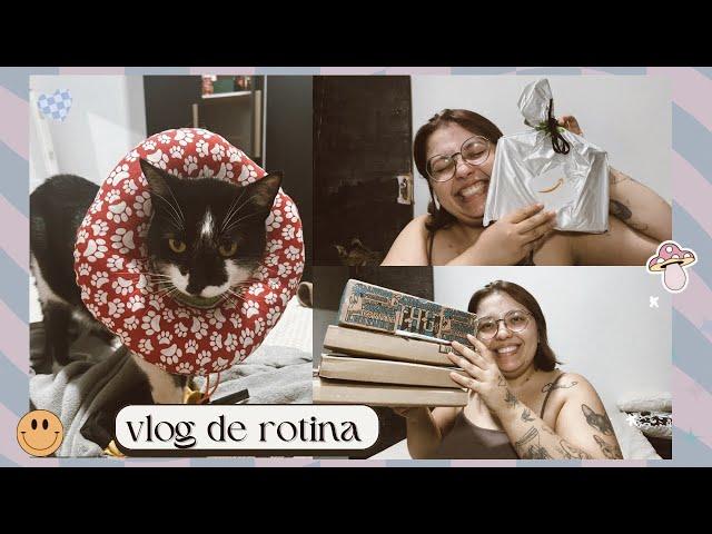 Vlog #160| Terminei porwerless, unboxing de livros novos e ida infinita ao veterinário ‍⬛