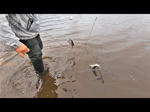 Рыбалка на Амуре. Ловля рыбы на хапужку хлопок. Рыбалка с Amur Fisherman и Fisherman DV 27 RUS