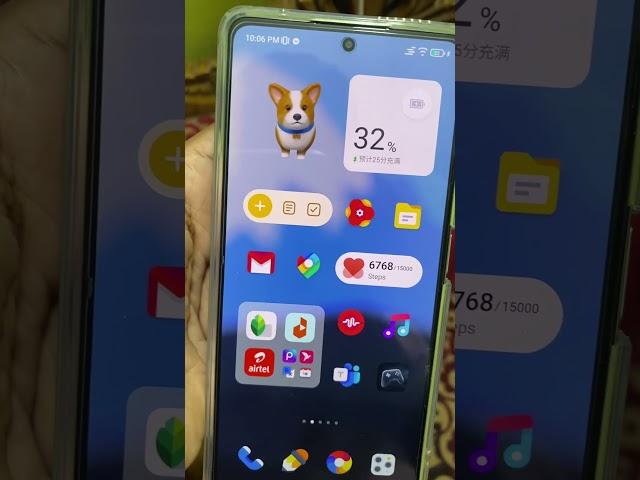 Cat Widget in MIUI 14 