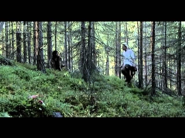 Dark Woods - Alptraum in der Wildnis ( Schweden, 2003)