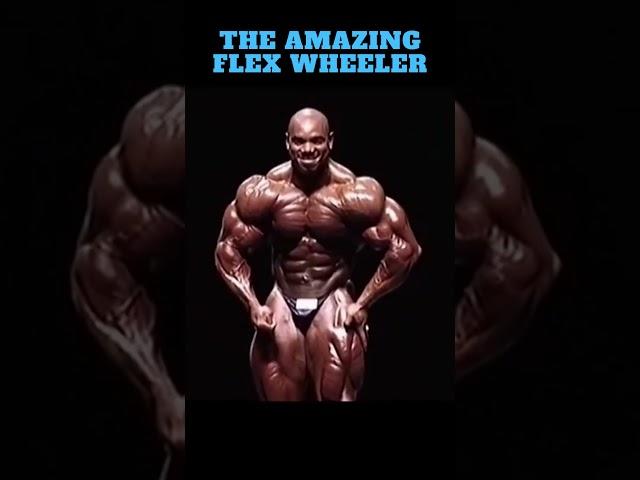 Best Symmetry In Bodybuilding History - Flex Wheeler 