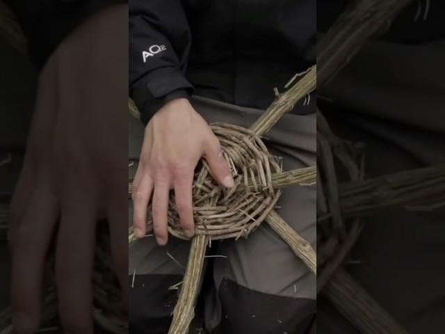 Make a Basket from a Vine #bushcraft #survival #shorts