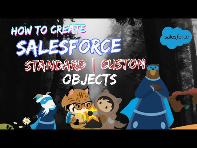 How to create Objects - Standard | Custon  | Salesforce Admin | #codeisha